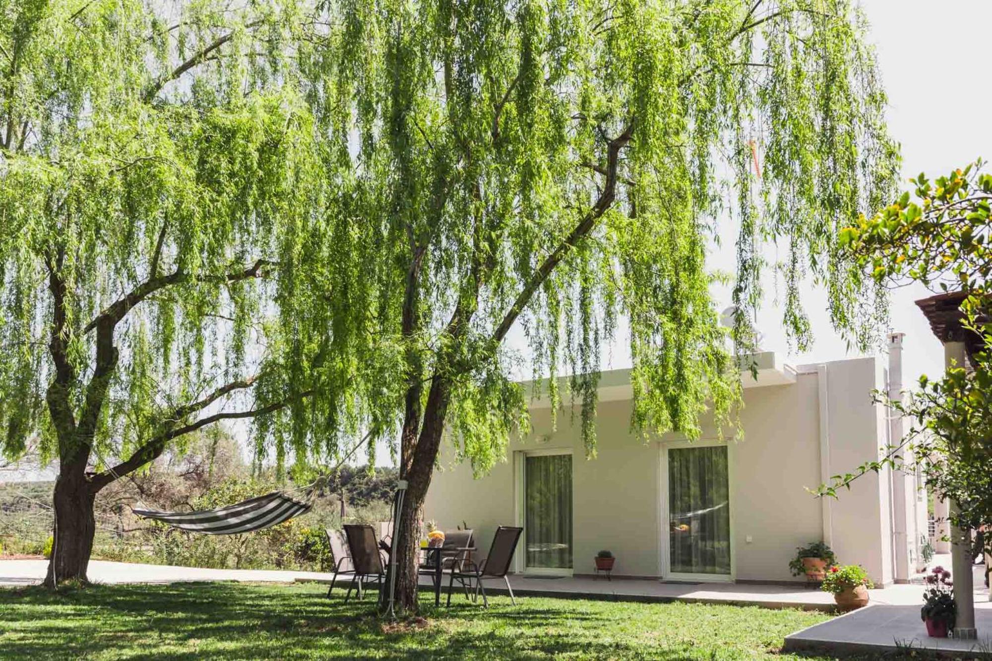דירות פלטניאס Liofyto House Private Garden מראה חיצוני תמונה